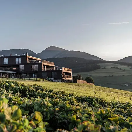 Aparthotel Panorama Living Dolomites-3